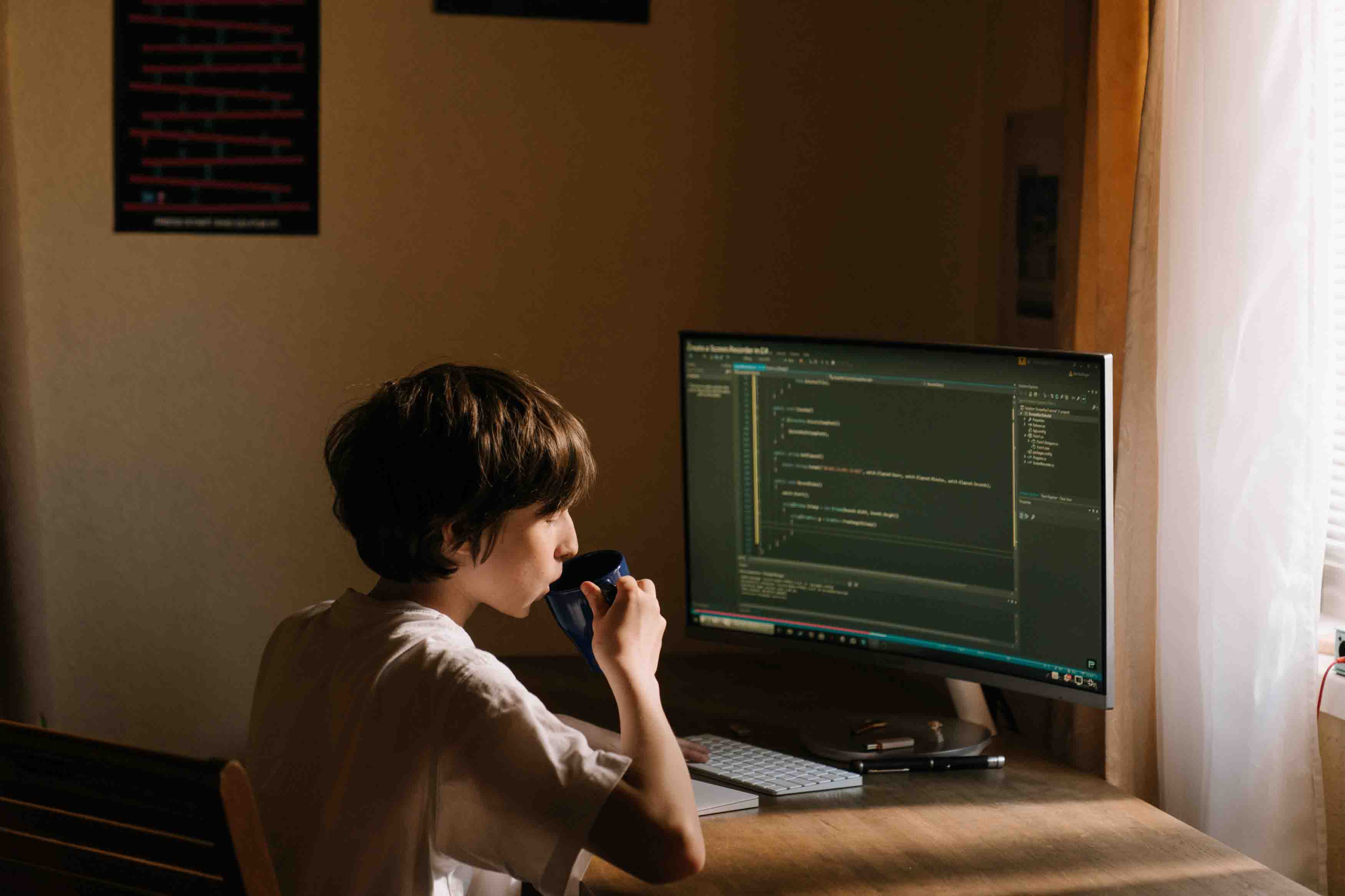 Software Development